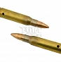 Amunicja dekoracyjna .308 Winchester