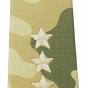 Pagony WP - pustynne - Porucznik