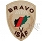 Naszywka - 18 bdsz Bravo - pustynna