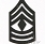 Odznaka First Sergeant (1SG)