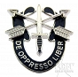 Odznaka Special Forces US Army