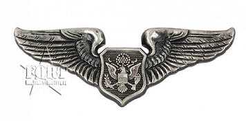 Odznaka Aircrew Member Badge (Officer)