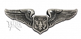 Odznaka Aircrew Member Badge (Officer)