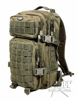 Plecak Assault I - zielony