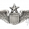Odznaka Senior Pilot Wings Badge - USAF