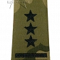 Pagony WP camo ripstop - czarne - Pułkownik