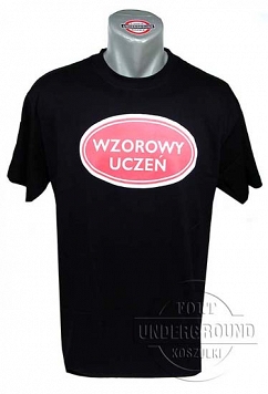 Koszulka - Wzorowy uczeń