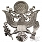 US Air Force Cap Device (Officer) - Godło na czapkę 
