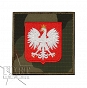 Naszywka Godło Polski wz. 2010