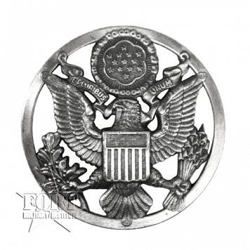 US Air Force Cap Device (Enlisted) - Godło na czapkę 