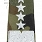 Pagony WP camo - białe - Generał