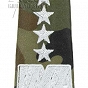 Pagony WP camo - białe - Generał