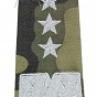 Pagony WP camo - białe - Generał Broni