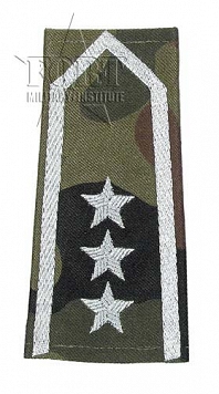 Pagony WP camo - białe - Chorąży Sztabowy