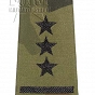 Pagony WP camo - czarne - Pułkownik