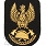 Orzełek PSP - na beret, czapkę