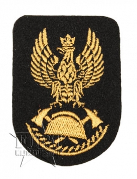 Orzełek PSP - na beret, czapkę