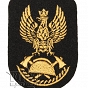 Orzełek PSP - na beret, czapkę