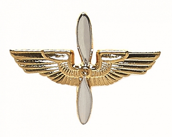 Odznaka Army Air Force Branch Insignia - Officer