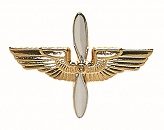 Odznaka Army Air Force Branch Insignia - Officer