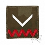 Stopień na kurtkę Strzelec OSW - Sierżant - kolor - na rzep