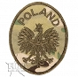 Naszywka - Poland z orłem - Multi - haft olive