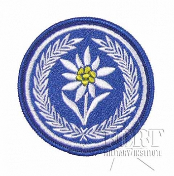 Naszywka - 21 BSP - Artyleria Przeciwlotnicza