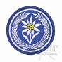 Naszywka - 21 BSP - Artyleria Przeciwlotnicza