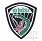 Naszywka - 6 BDSz - 10 Batalion - typ 2