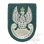 Orzełek na beret - Zielony