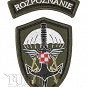 Naszywka - Rozpoznanie