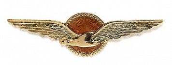 Odznaka pilota Królewskich Holenderskich Sił Powietrznych (KLu) - złota