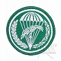 Naszywka - 6 BDSz - 10 Batalion - na rzep