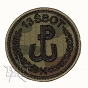 Naszywka - Wojska Obrony Terytorialnej - jednostki - polowa